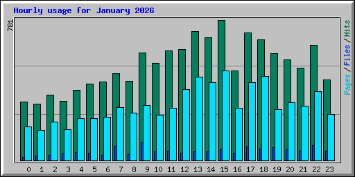 Hourly usage for January 2026