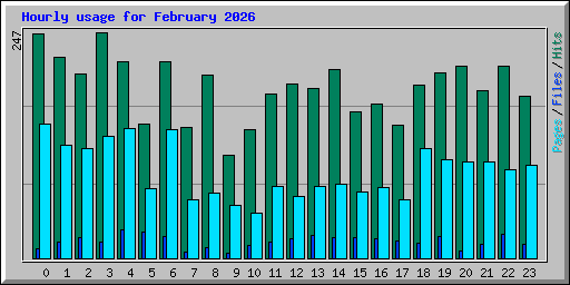 Hourly usage for February 2026